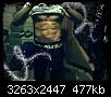     

:	12.jpg
:	89
:	477.5 
:	361334