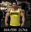     

:	Universal_tank_front.jpg
:	19
:	216.5 
:	361727