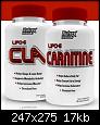     

:	lipo6carnitine.jpg
:	3
:	16.7 
:	362747