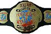 ECW_World_Heavyweight_Championship.jpg‏