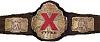 TNA_X_Division_Championship.jpg‏