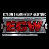 ECW.jpg‏