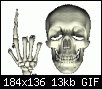 skull18.gif‏