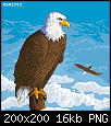 Eagles___City_by_hsn2555.png‏