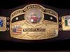 NWA_World_Heavyweight_Championship.jpg‏
