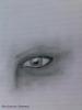 The eye....jpg‏