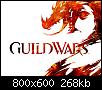 GuildWars2-01-800x600.jpg‏