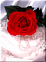   al_zaaib