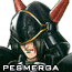   Shin Pesmerga