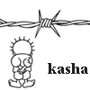   kasha