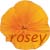   rosey_girl