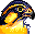   falco04