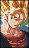   vegeto ssj4