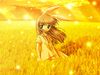   sun_flower