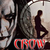   black crow