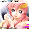 ������ ������� lacus