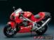   harleydavld son