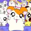   HAMTARO