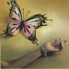   Lost Lullaby