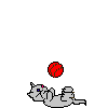   small kitty