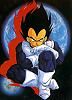   VEGETA WALEED