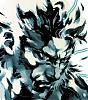   Solid Snaake