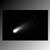   the white comet