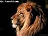   haert of lion