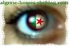   labedabdelhamid