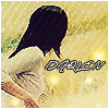   darlen