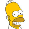   Homer Simpson