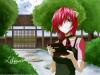   Nyuu