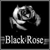   "Black Rose"