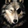   The pland walf