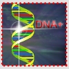   DNA+