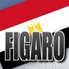   figaro 4u
