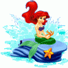   Ariel